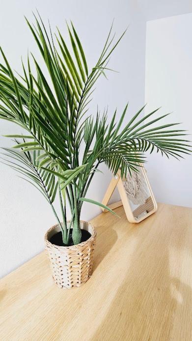Boho Arenal Bol Con Parking Apartment Calpe Bagian luar foto